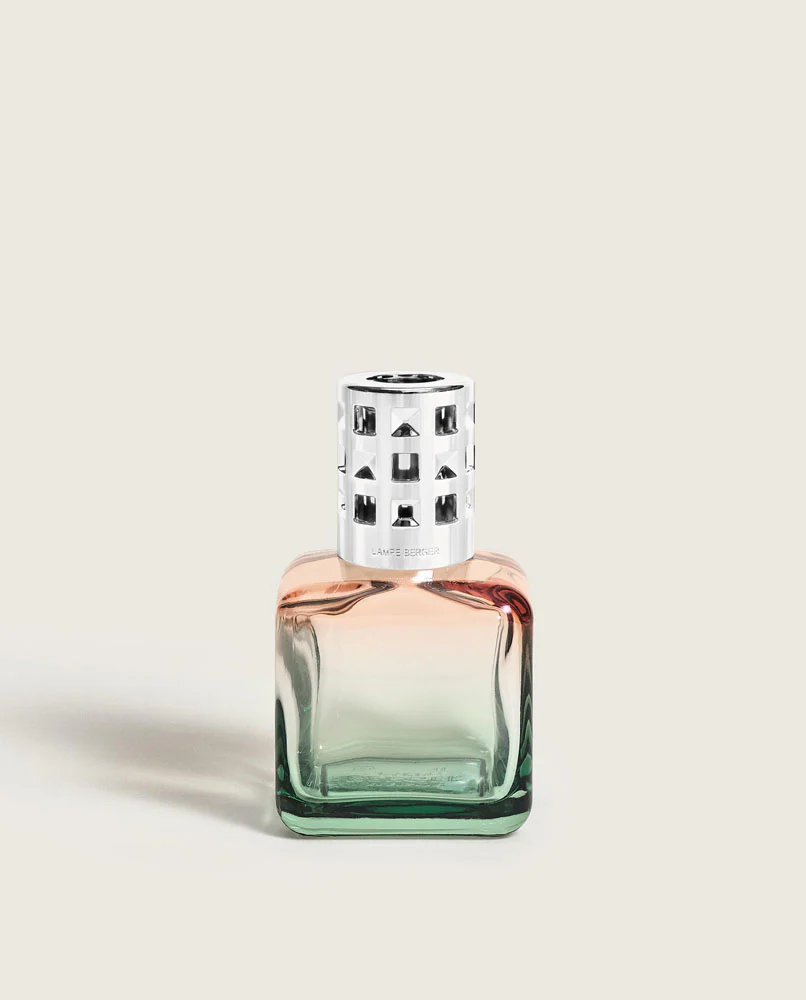 Miniatuur 2
